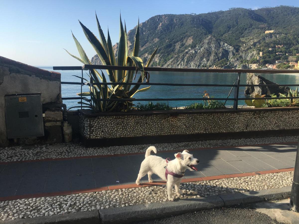 Le Cinque Vele ***** Cinque Terre Apartment Monterosso al Mare Exterior foto